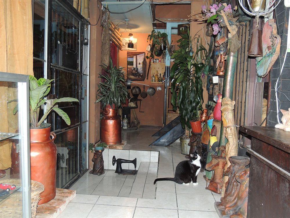 Hostal Del Este Santa Fe San José Dış mekan fotoğraf